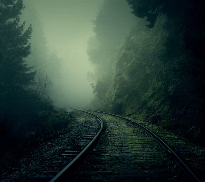 Rails in the forest, abstract, dark, landscape, nebline, night, travel, HD wallpaper