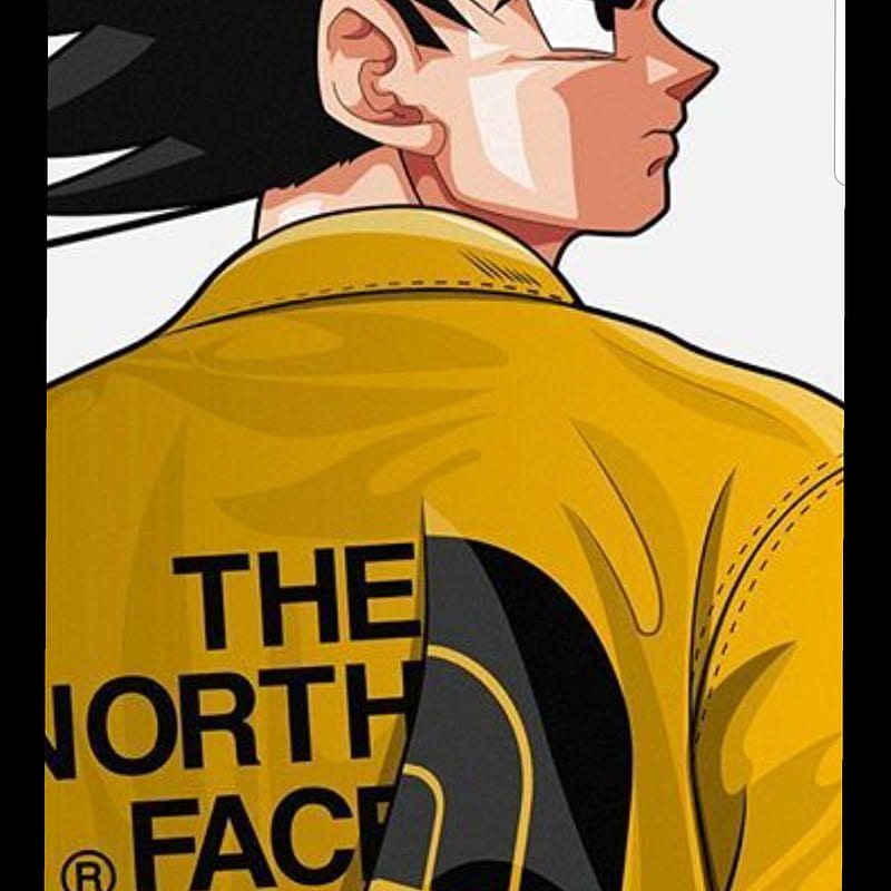The North Face Dbz Jack1602 The North Face Hd Mobile Wallpaper Peakpx