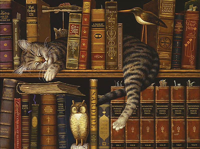 sweet cat, art, paintings, books, cats, cool, HD wallpaper