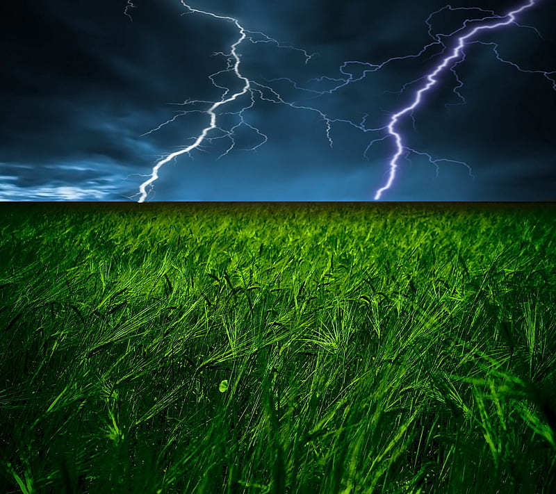 stormy field, clouds, lightening, natural, nature, new, storm, weather, HD wallpaper