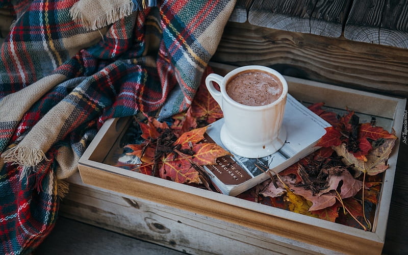 Autumn Still Life with Cacao, leaves, autumn, cacao, still life, book, wooden, HD wallpaper