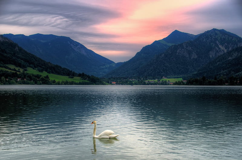 Landscape, Bavaria, Tegernsee, mountains, sunset, ozro, swan, lake, HD wallpaper