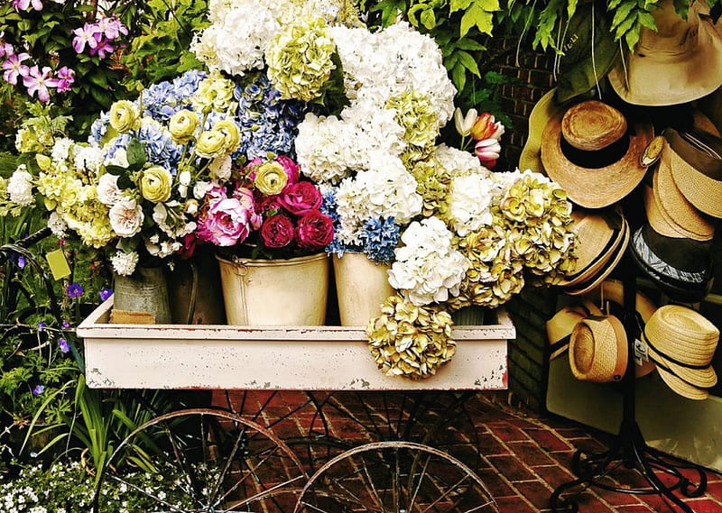 For Sale, cart, blossoms, pots, hats, HD wallpaper