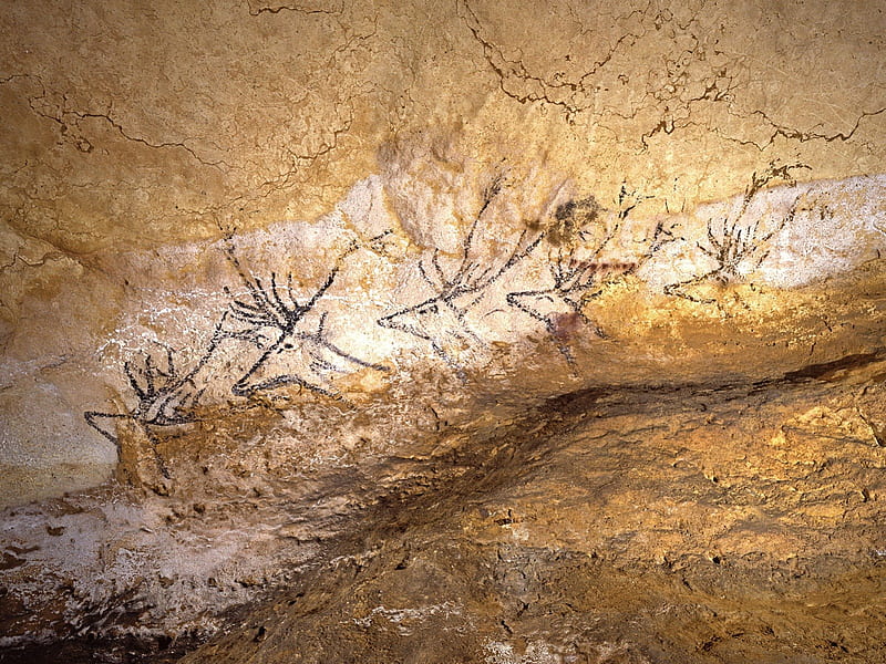 in the Caves of Lascaux, lascaux, wonderful, stunning, religious, spiritual, caveman, animism, nice, art parietal, colored, homo sapiens, cool, france, paleolithic, neanderthal, awesome, history, caves, bulls, wall art, bonito, old, cave graphy, stone, wild, painting, cavemen, prehistory, bull, animals, amazing, ancient, colors, drawing, prehistoric, prehistoire, HD wallpaper