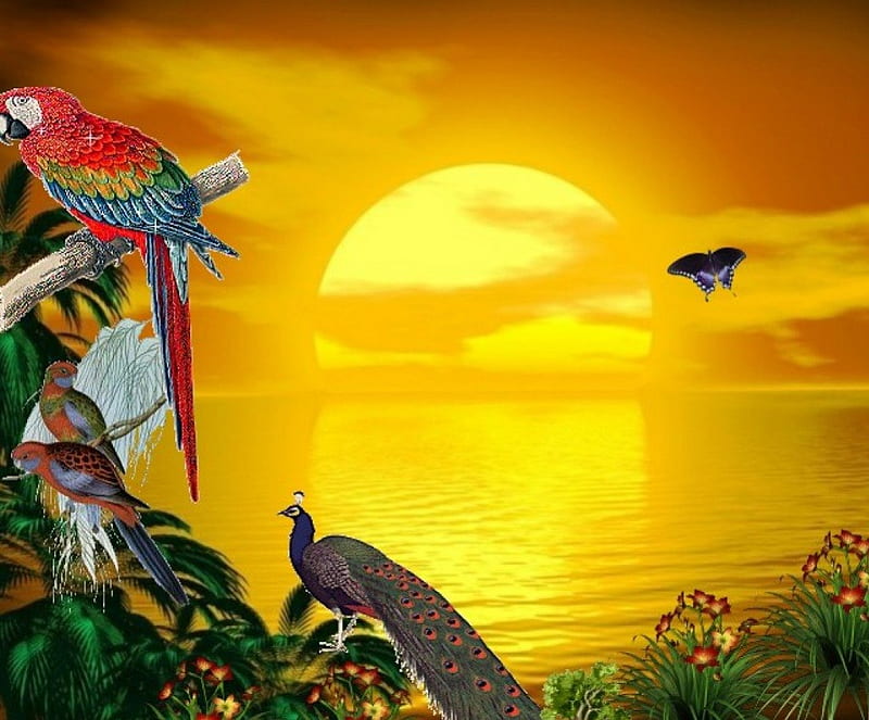 Beautiful sunset, peacocks, beautiful nature, flowers, parrots, sunset, butterflies, palm trees, HD wallpaper