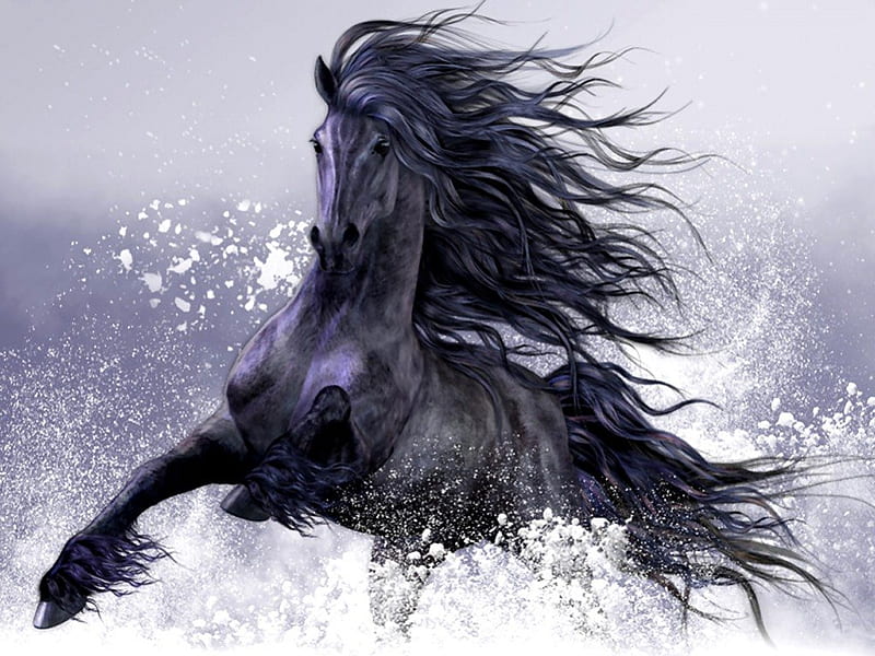 Winter Play - Horse F+Cmp, art, freisian, snow, painting, equine, horse, artwork, winter, HD wallpaper