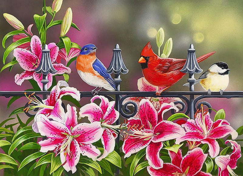 Stargazers, fence, colorful, art, pretty, lovely, birds, bonito, spring, flower, HD wallpaper