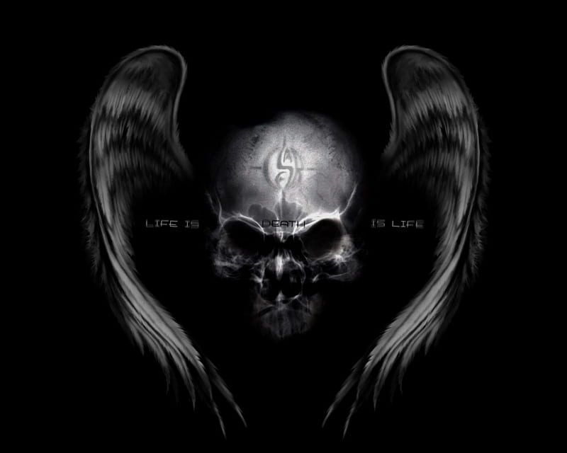 Life is Death is Life , yin yang, wings, dark, winged, skull, HD wallpaper