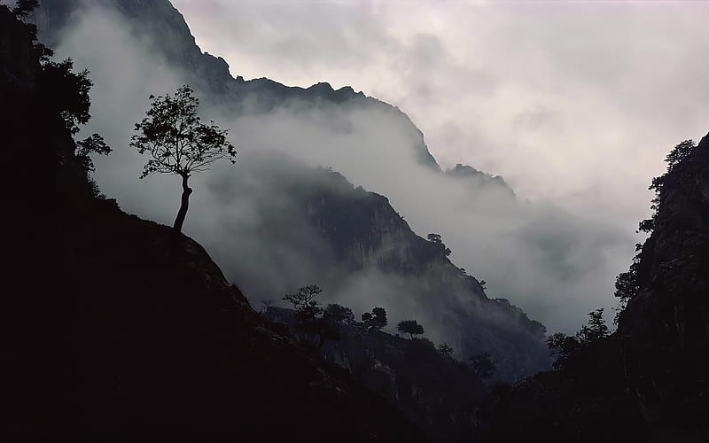 Misty Mountains, forest, sky, sainy, clouds, tree, mountains, dark, misty, rain, HD wallpaper