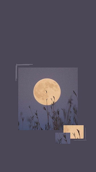 Top 30 Calming iPhone Wallpaper To Relax Your Mind