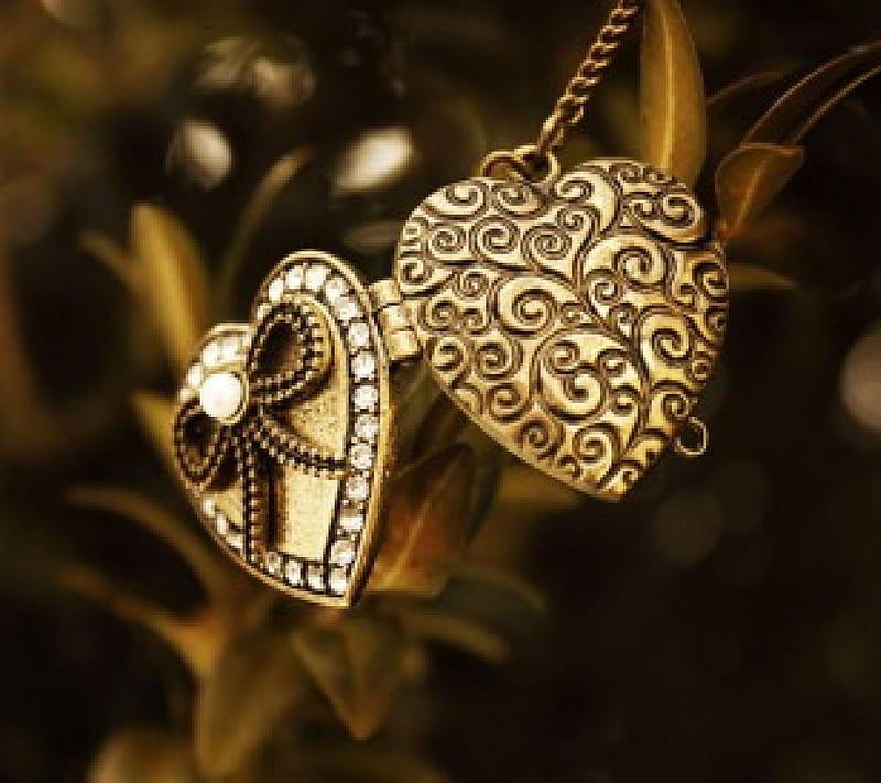 HEart locket, chain, gold, locket, heart, HD wallpaper