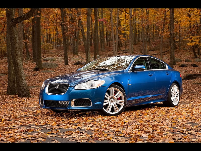 Jaguar XF, leaves, 2011, xf, blue, HD wallpaper