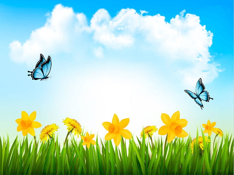 Spring background, Outdoor, Butterflies, Daffodils, Grass, Flowers, HD wallpaper
