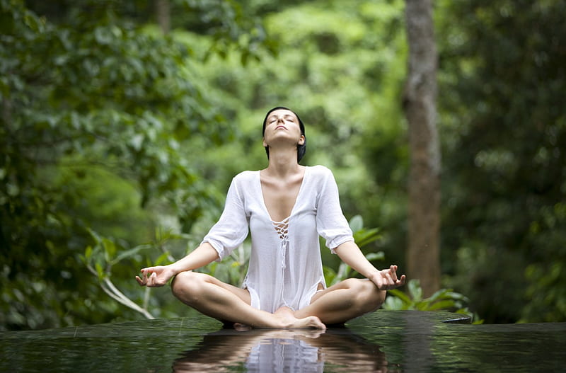 Meditation, forest, water, person, nature, trees, HD wallpaper