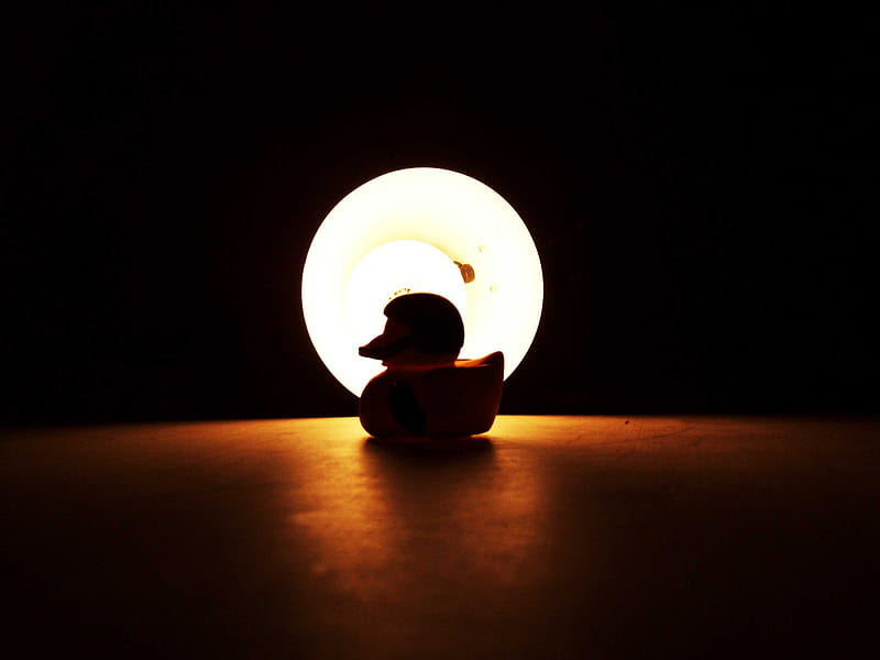Silhouetted Duck, toy, rubber, duck, light, HD wallpaper