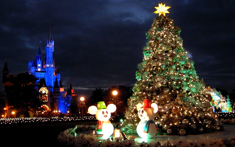 KINGDOM of MAGIC!, holidays, fairy tale, celebration, castle, tokyo disneyland, lights, HD wallpaper