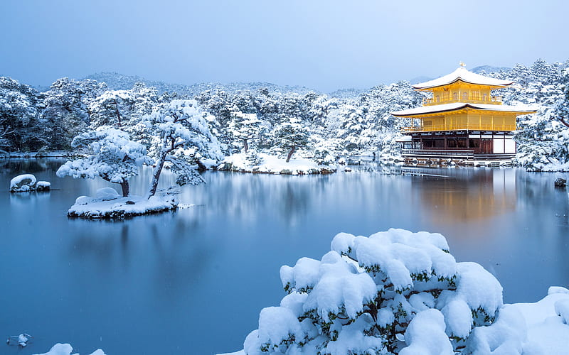 Kinkakuji Temple Winter Kyoto Japan 2020 Bing, HD wallpaper