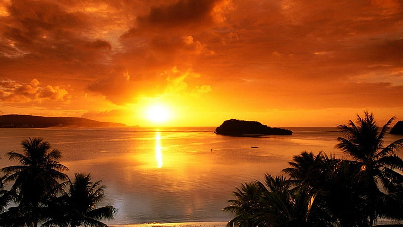 gorgeous tropical sunset, intense, sunset, island, sea, palms, HD wallpaper