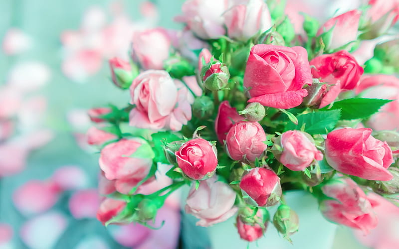 pink roses, bouquet of flowers, roses, pink flowers, HD wallpaper