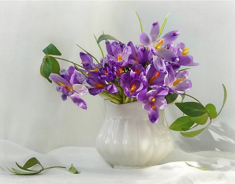 Purple delight, crocus, brightness, delight, vase, bonito, still life, bouquet, flowers, petals, HD wallpaper
