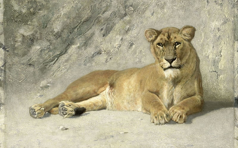 1885, resting lioness, rijksmuseum, dutch artist, amsterdam, HD wallpaper