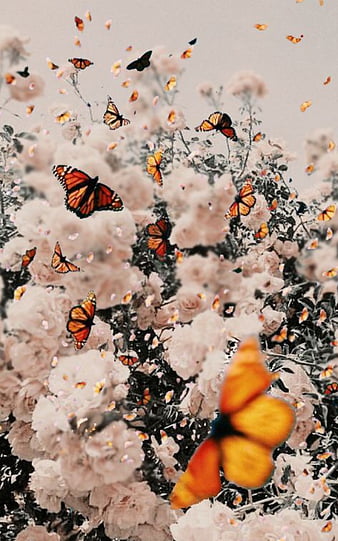 Butterfly Aesthetic, butterflies, cute, flowers, nature, vintage, HD phone  wallpaper | Peakpx
