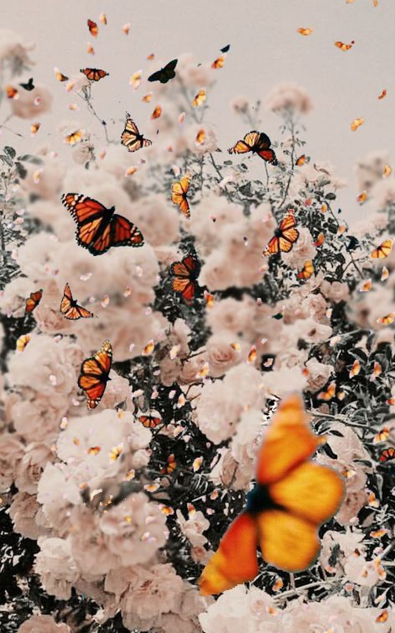 Butterfly Aesthetic, butterflies, cute, flowers, nature, vintage, HD phone wallpaper