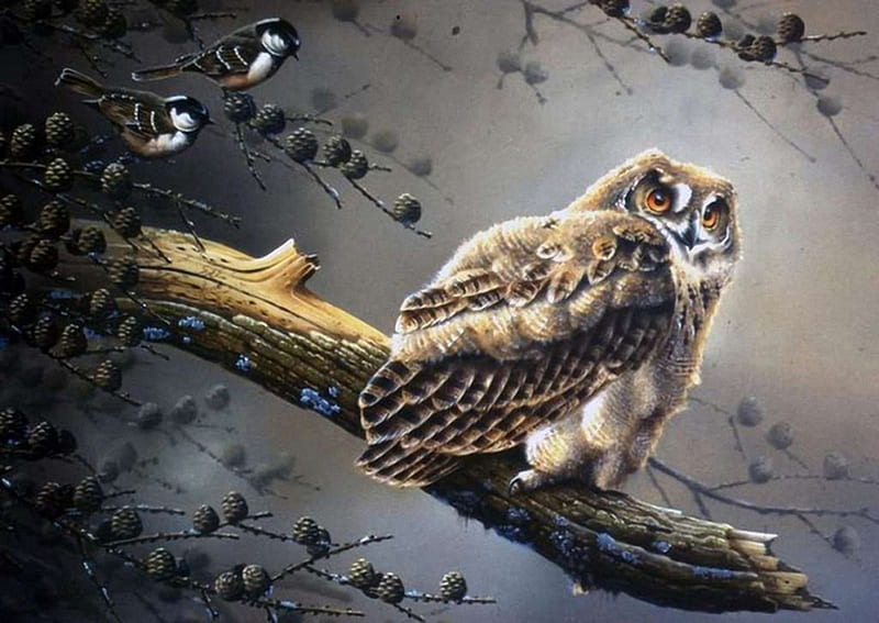 Young Owl, painting, birds, owl, tree, HD wallpaper