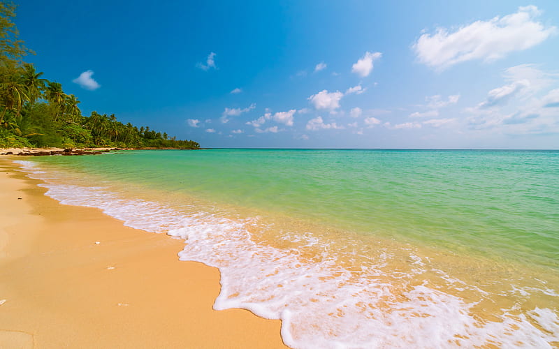 tropical island, palms, beach, ocean, azure cove, white clouds, summer travels, Bora Bora, HD wallpaper