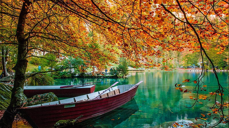 Beautiful Garden Boats On Body Of Water Surrounded By Green Yellow Red Autumn Fall Trees Nature, HD wallpaper