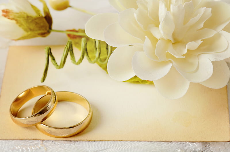 Romantic and Fun | Wedding invitation background, Wedding ring background,  Engagement invitation cards