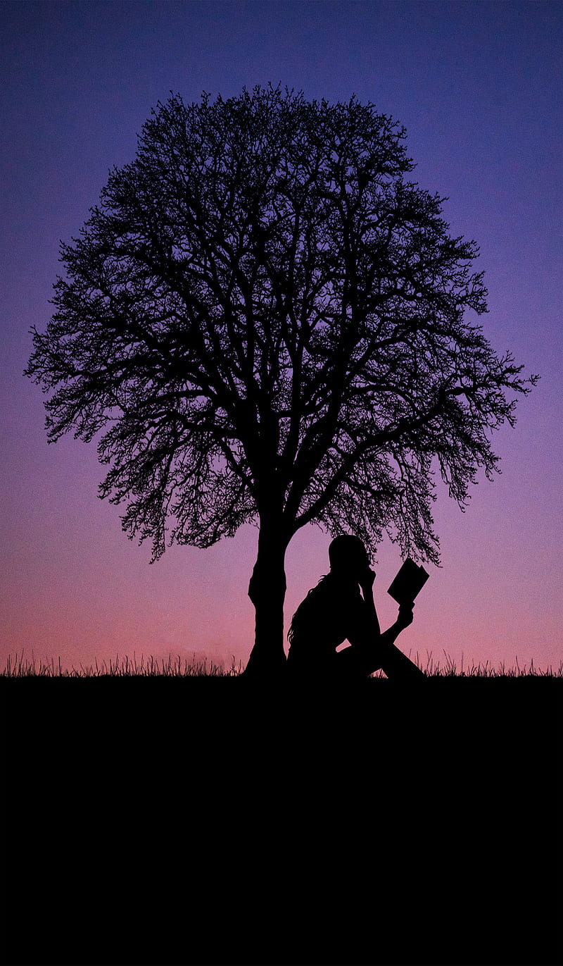 under the tree , HI, book, bright, butterfly, cat, girl, grass, leaf, light, moon, read, reading books, silhouette, sky, star, stars, white, white moon, HD phone wallpaper