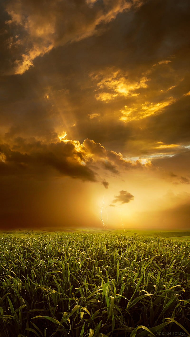 Electric Sunset, clouds, grass, landscape, nature, sky, storm, thunder, HD phone wallpaper