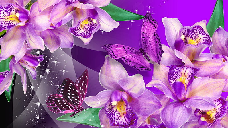 Orchid Butterfly Dance, extotic, flowers, glow, shine, butterfly, bright, papillon, flowers, pink, stars, glitter, butterflies, spring, delicate, purple, orchid, summer, HD wallpaper