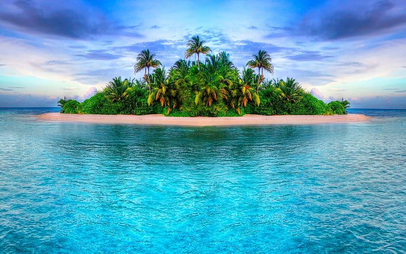 tropical island, ocean, beach, palm trees, small island, HD wallpaper
