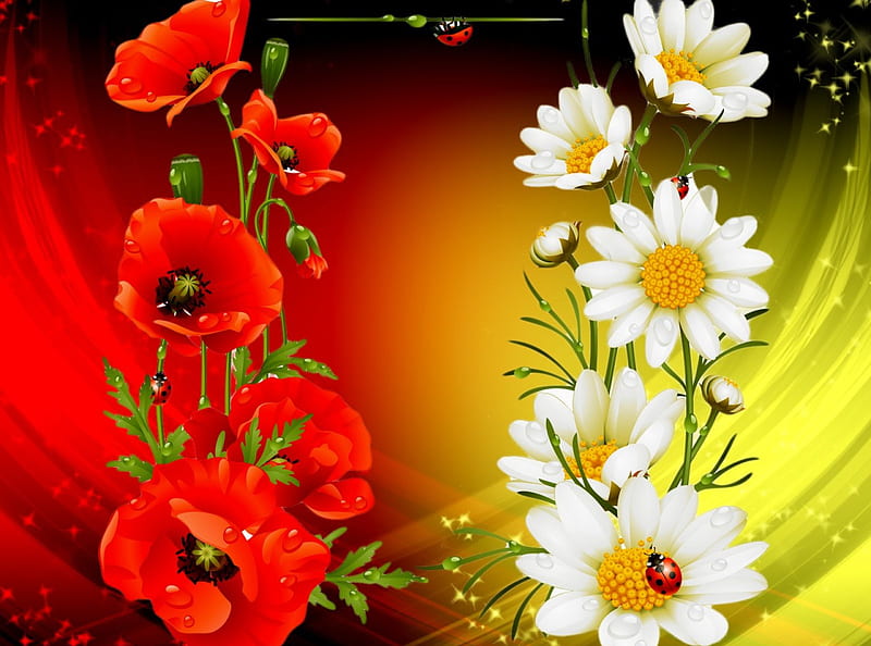 Floral background, pretty, colorful, lovely, poppies, bonito, spring, freshness, floral, ladybird, daisies, nice, flowers, HD wallpaper