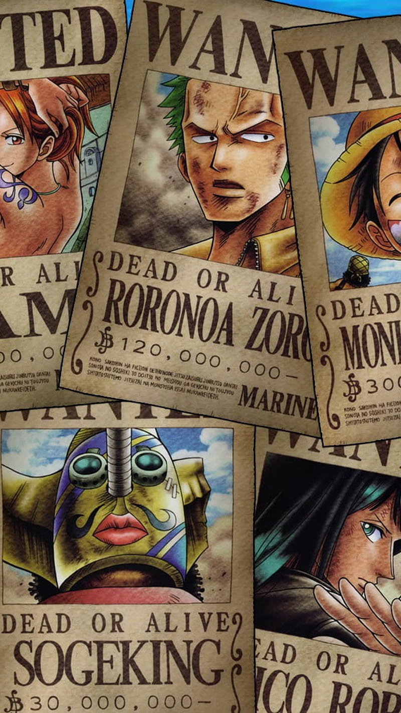 One Piece Wanted Posters , Tony Tony Chopper, Nami, Roronoa Zoro • For You, HD phone wallpaper