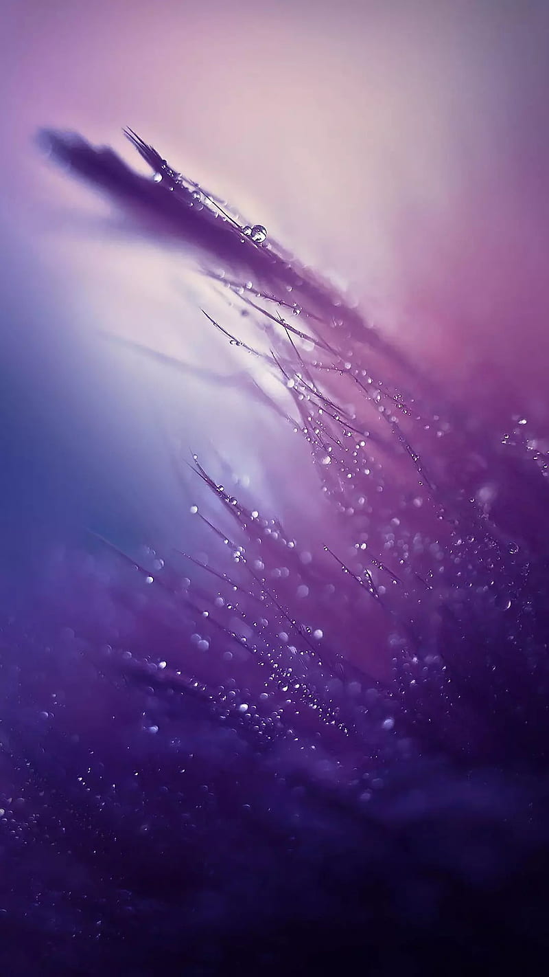 Cool and sparkle, galaxy, night, purple, solar, stars, HD phone wallpaper