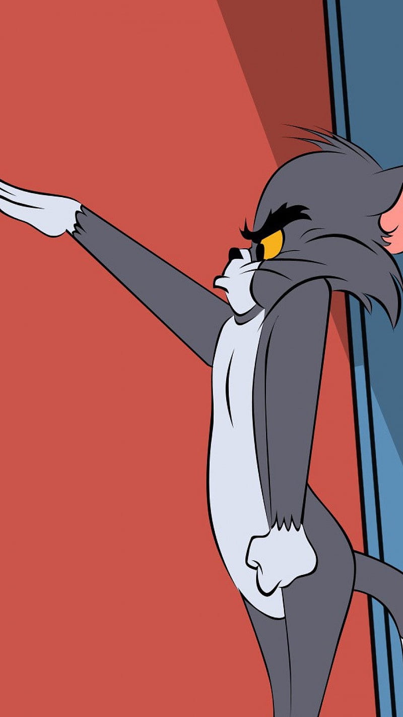 Tom Cat, tom cat, animation, art, cartoon, HD phone wallpaper | Peakpx