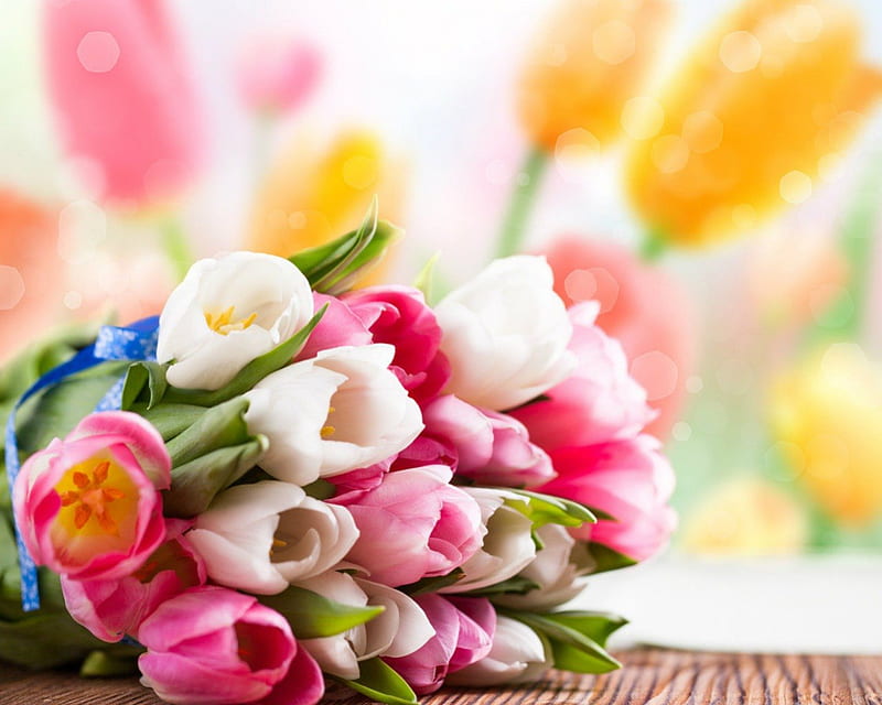 Beautiful flowers, flowers, petals, tulips, bunch, HD wallpaper