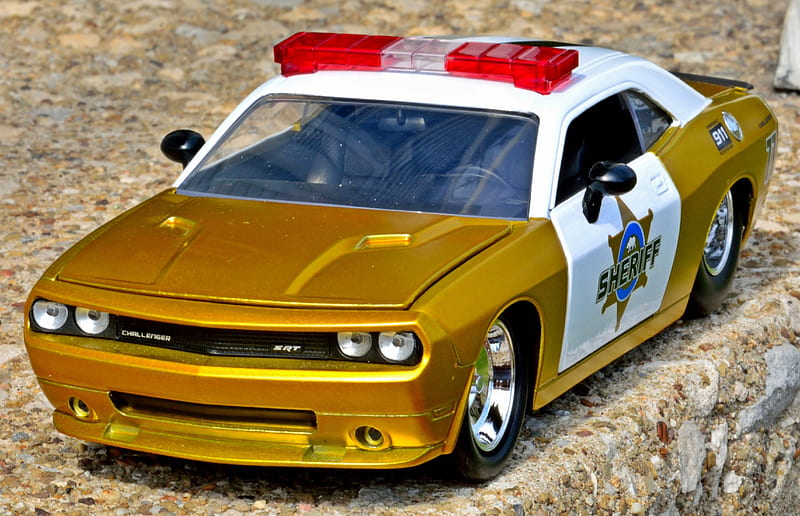 Challenger Police Car, challenger, 2008 dodge challenger, dodge challenger, police car, HD wallpaper