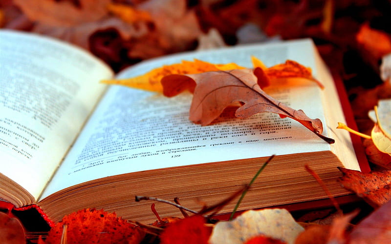THE FALLEN LEAF, fall, text, leaves, pages, book, foliage, HD wallpaper