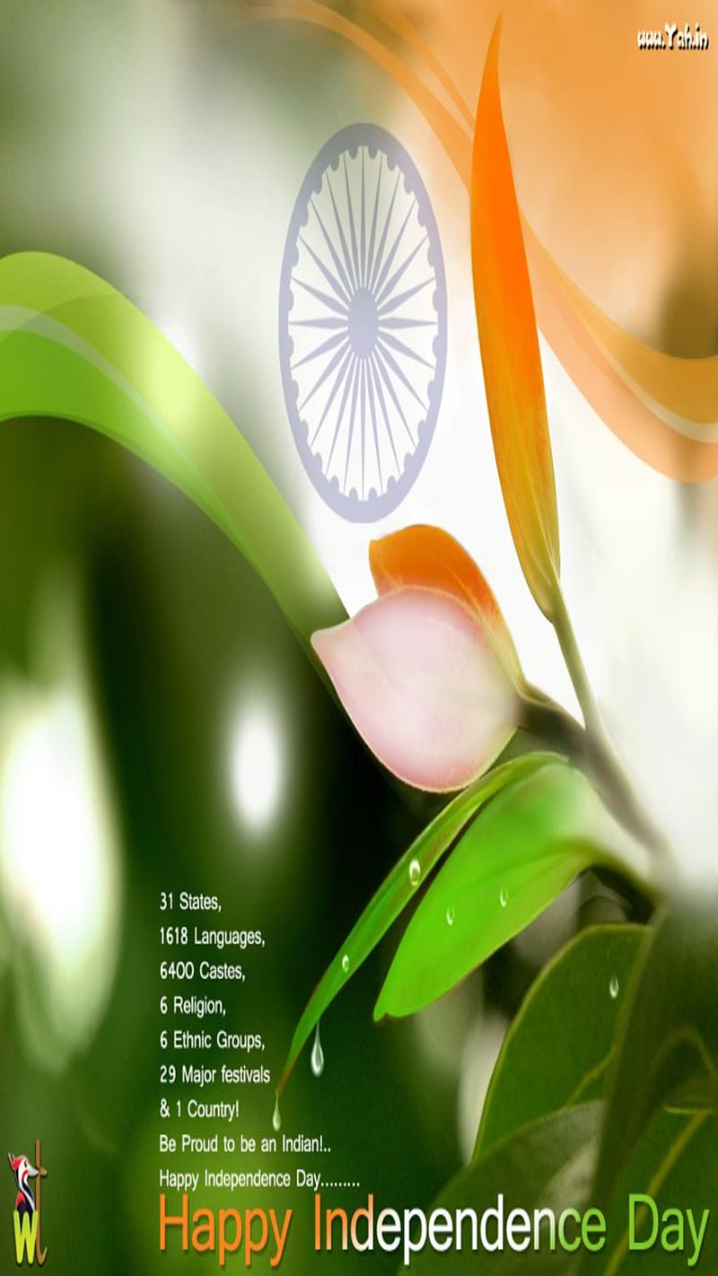 Independence Day, 15 august, flag, flower, independece day, india ...