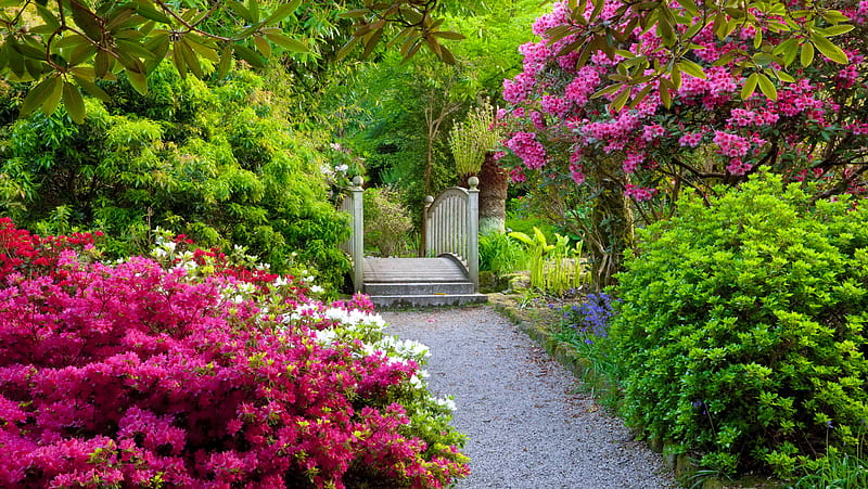 English garden, pretty, lovely, greenery, bonito, park, spring, trees, english, flowers, garden, walk, alley, HD wallpaper