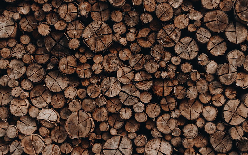 Wooden Logs Texture, Stacked wood logs, wooden background, firewood, Cut Wooden Logs Texture, HD wallpaper