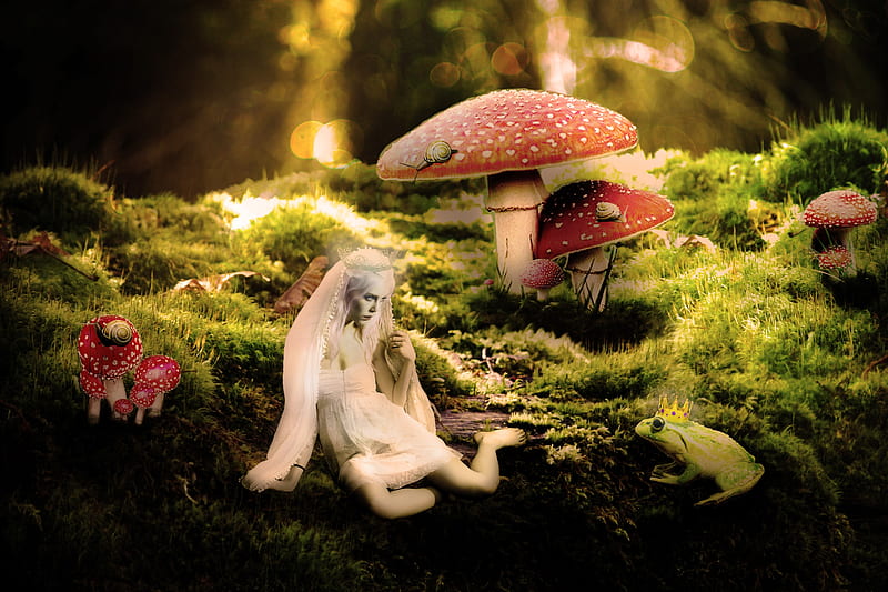 Queen And Frog Prince, frog, fantasy, fiction, queen, beauty, prince, landscape, HD wallpaper