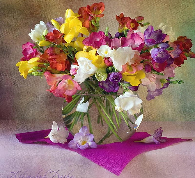 sia still life., flower, vase, sia, still life, HD wallpaper