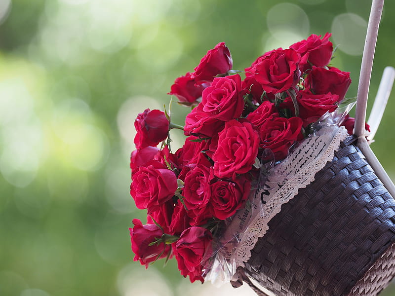 Man Made, Flower, Basket, Bokeh, Red Flower, Rose, HD wallpaper