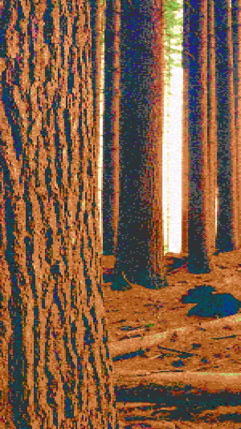 8-bit forest, retro, HD phone wallpaper