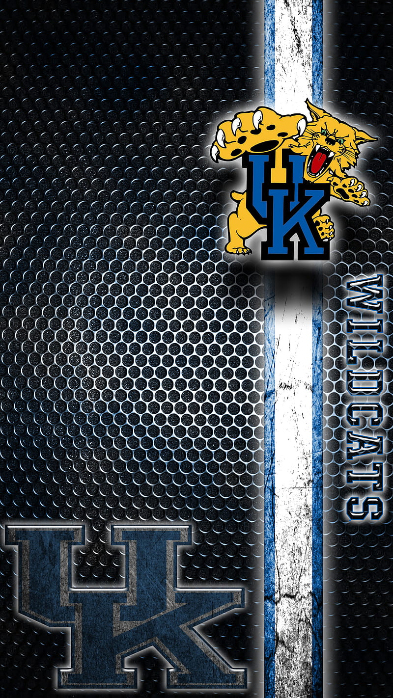 Kentucky Wildcats, kentucky, school, esports, uk, HD phone wallpaper